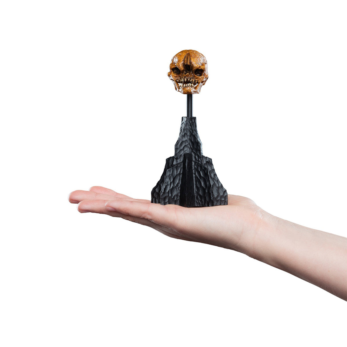 WETA Workshop The Hobbit Trilogy Skull Miniature Skull of a Misty Mountain Goblin Art Figurine