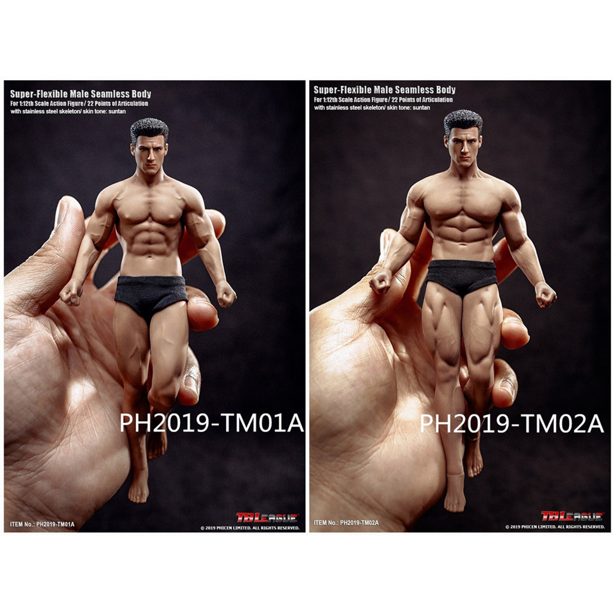 TBLeague, Seamless Muscular Male Body Suntan-Skin with Head Sculpt, Action Figures Body
