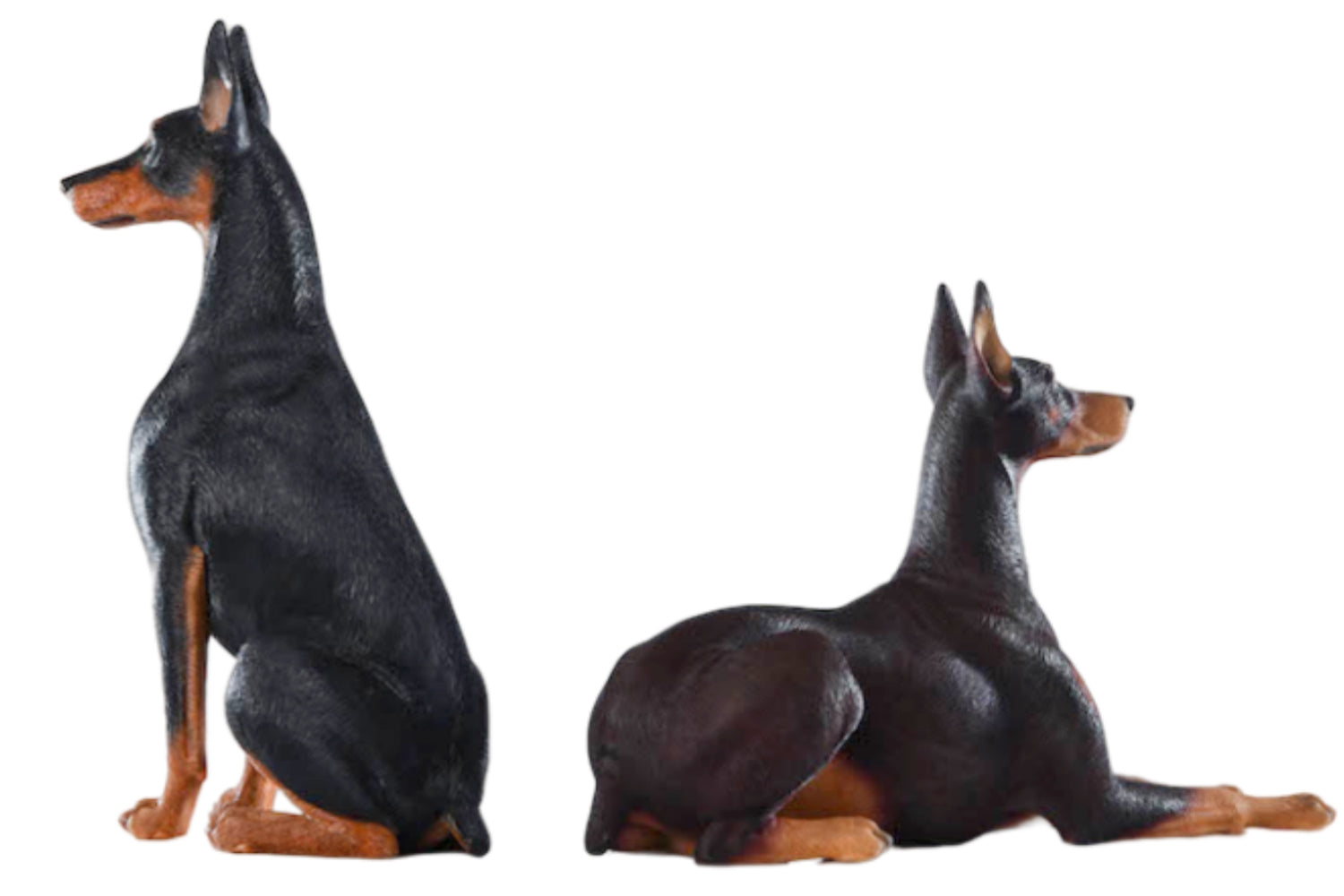 Figura de perro coleccionable JXK: Doberman Pinscher, pintada a mano por expertos, realista, de resina segura, miniatura a escala 1:6.