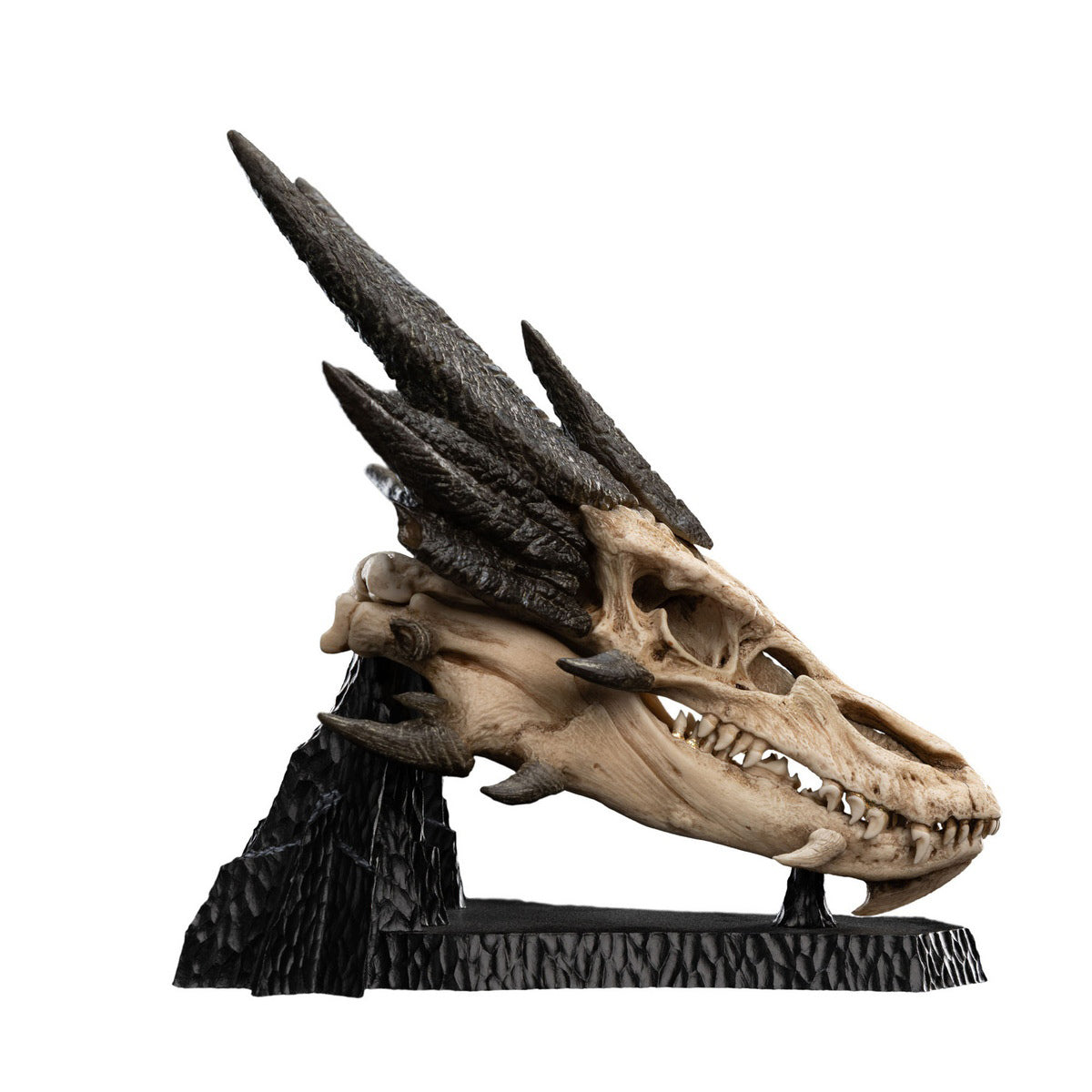 WETA Workshop The Hobbit Trilogy Skull Miniature Skull of Smaug Art Figurine