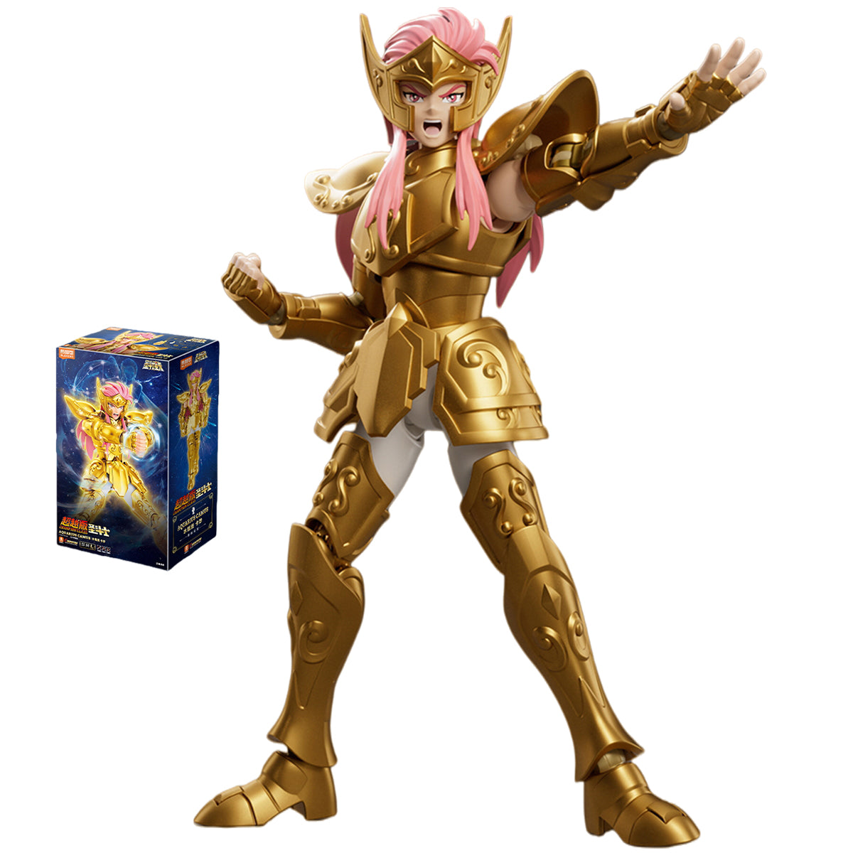 Blokees Saint Seiya Champion Class AQUARIUS CAMUS CYGNUS HYOGA Assembly Model Kits