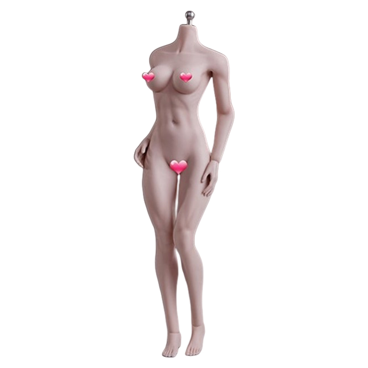 TBLeague Female Seamless Medium/Large Bust More/Medium Muscular Type Headless Detachable Feet 1/6 Scale Action Figure Body