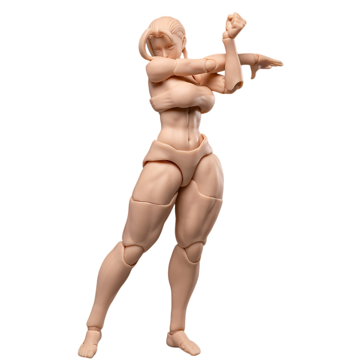 WHALE WORKS Articulated Joints Female WW01-A ARIA Large Bust WW02-A RIN Large Bust 1/12 Scale Action Figure Body