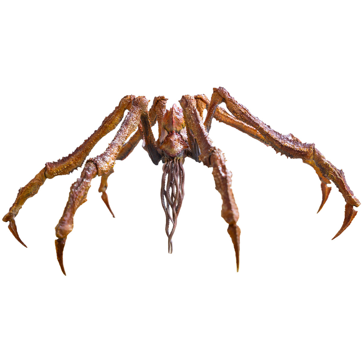 HIYA Godzilla vs. Kong: The New Empire Scylla Highly Articulated Exquisite Basic Action Figure