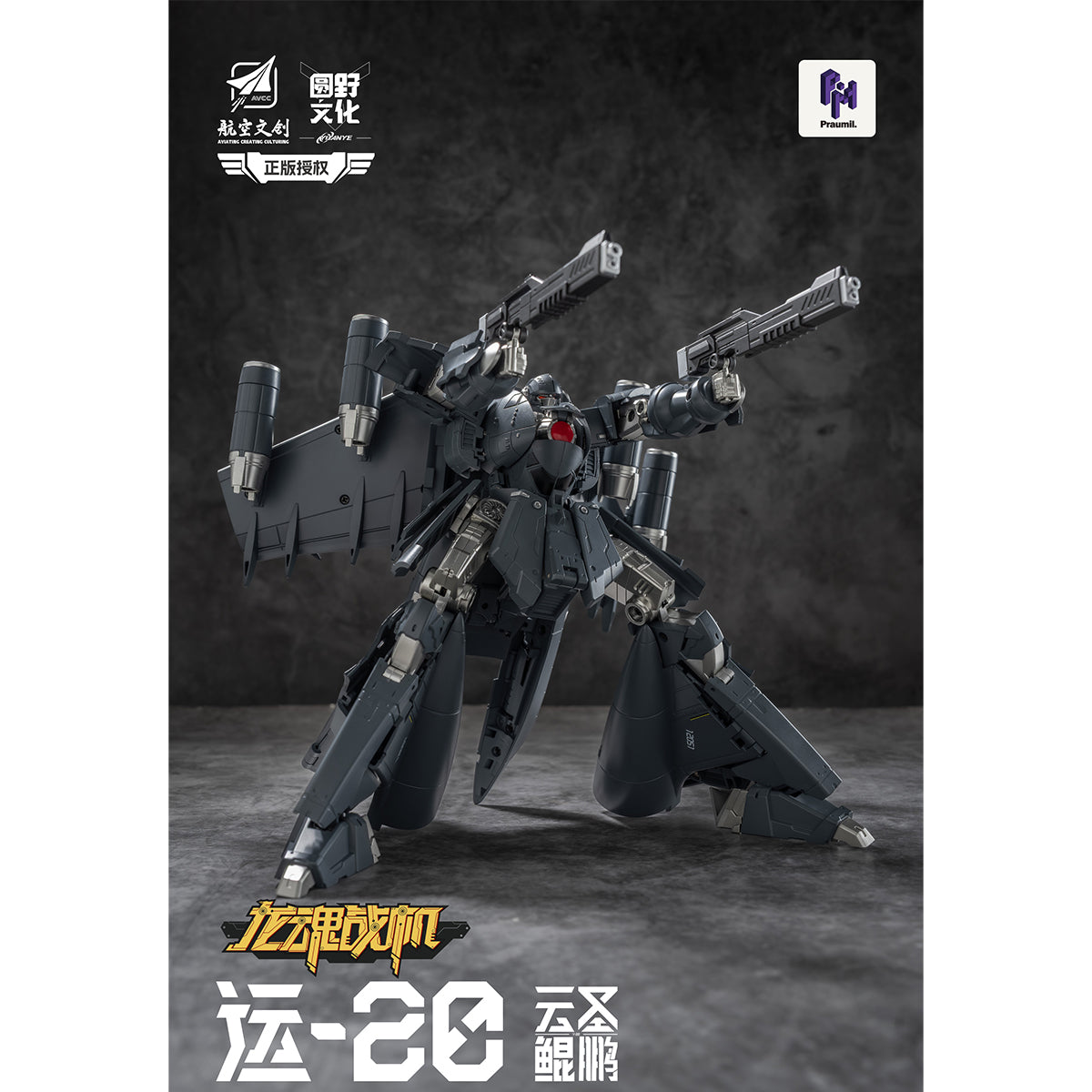 SET-YY-Y20_US