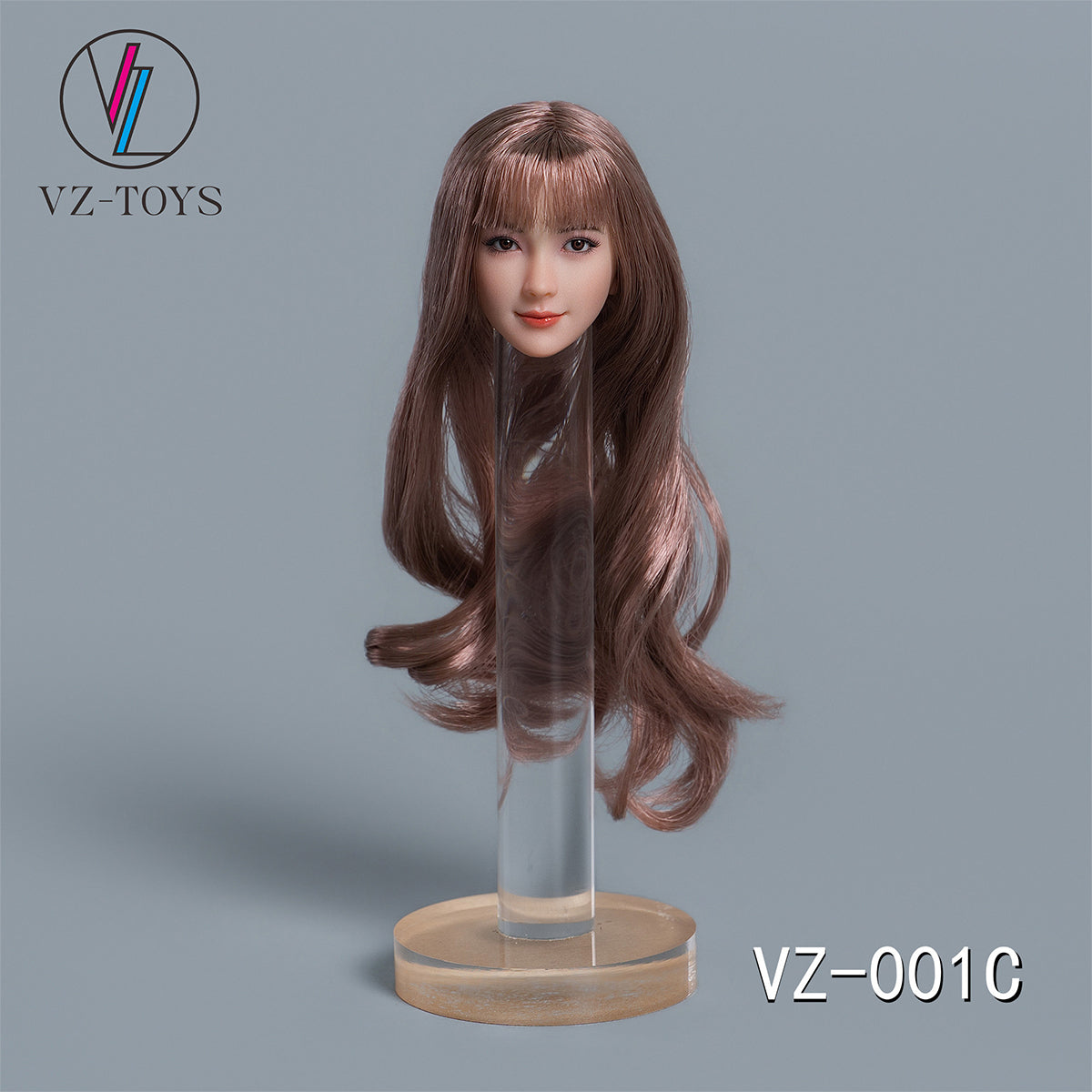 HS-VZTOYS-VZ001C