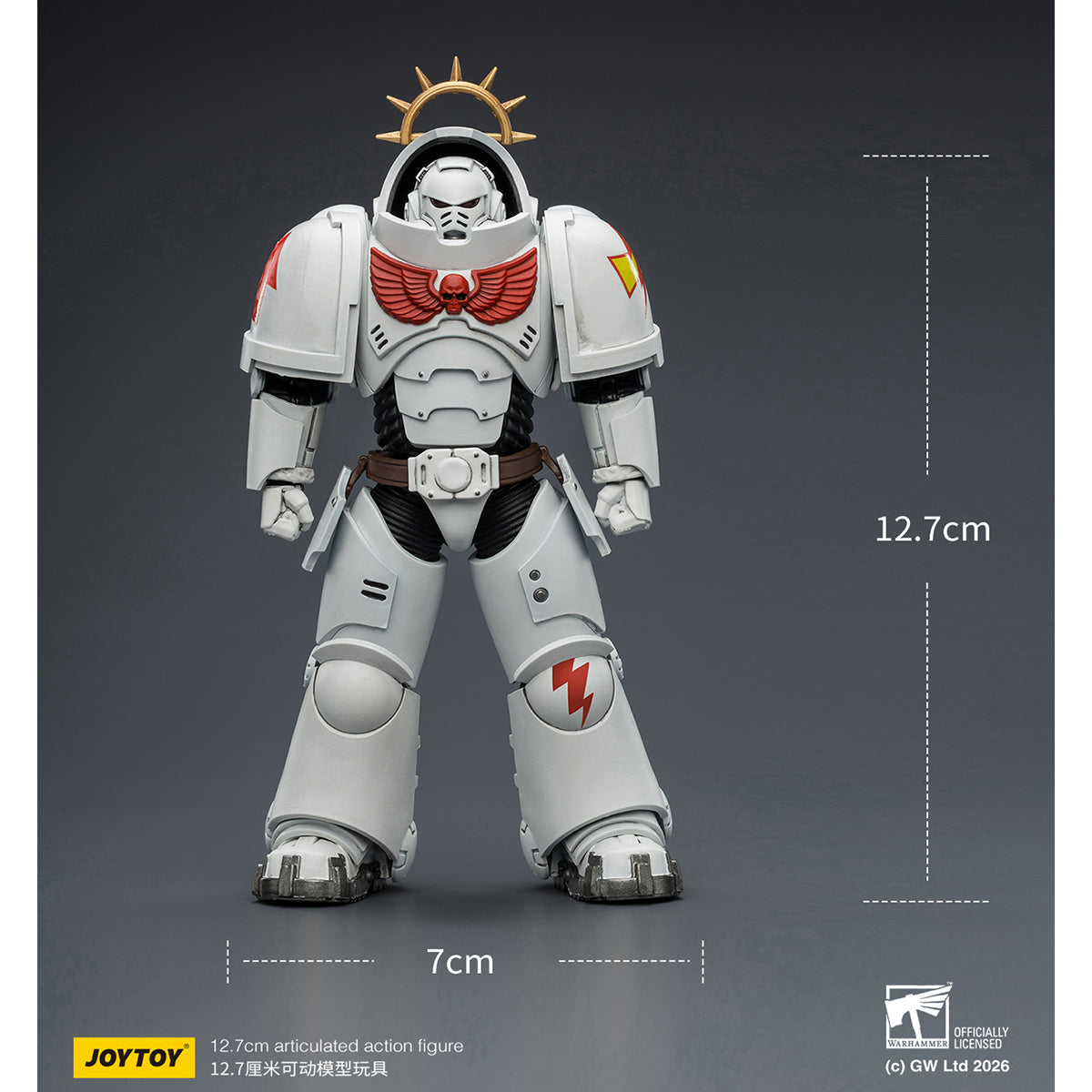SET-JOYTOY-JT03691_US
