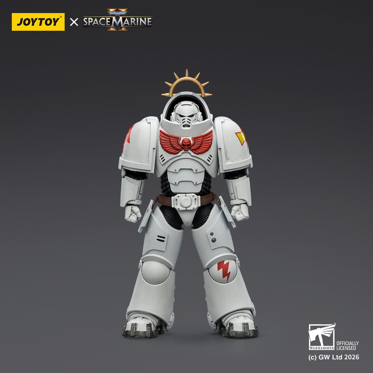SET-JOYTOY-JT03691_US