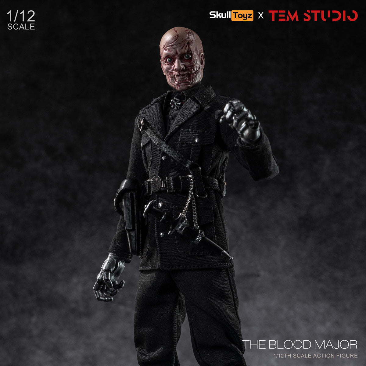 SET-TEM STUDIO-TEMS002