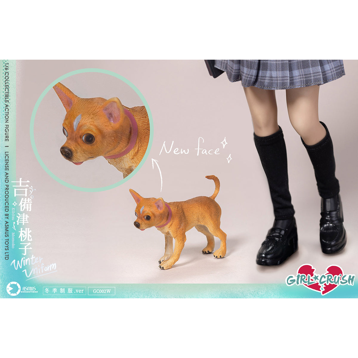 SET-Asmus toys-GC002W
