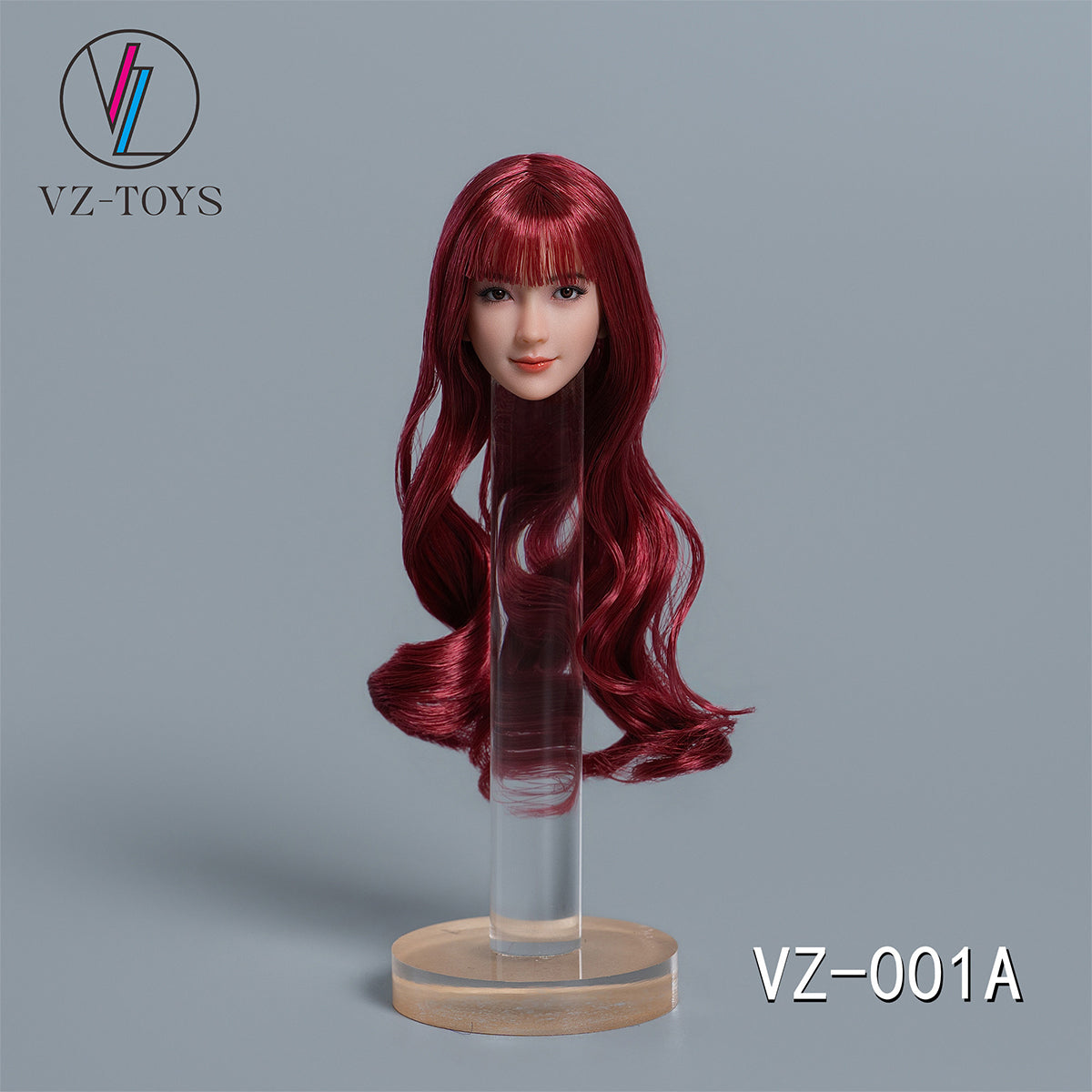 HS-VZTOYS-VZ001A