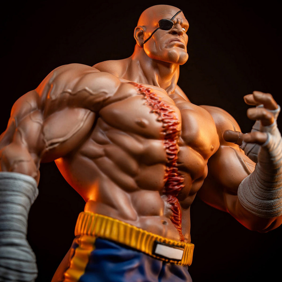 HPDX-Sideshow-915331