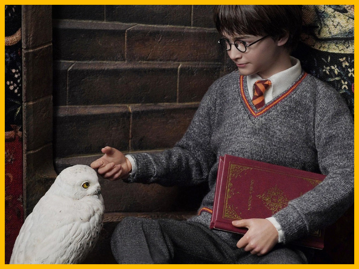 Harry Potter