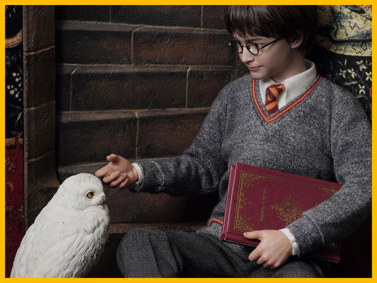 Harry Potter