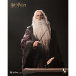 INART Harry Potter and the Chamber of Secrets InArt Albus Dumbledore 1/6 Scale Action Figure Set