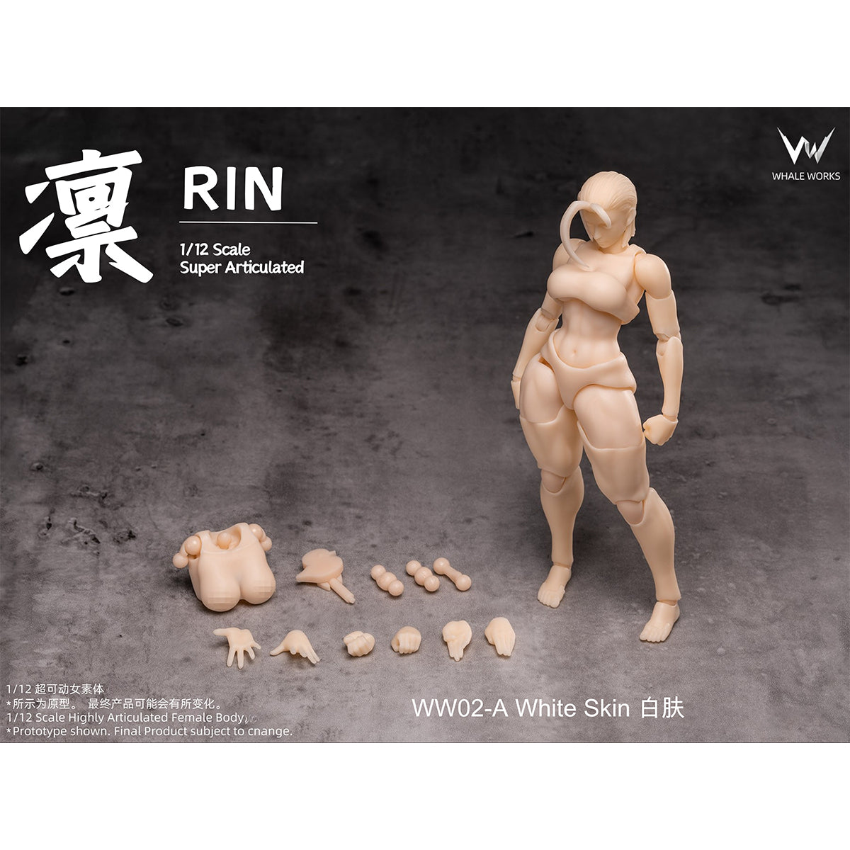 WHALE WORKS Articulated Joints Female WW01-A ARIA Large Bust WW02-A RIN Large Bust 1/12 Scale Action Figure Body