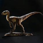 Prime 1 Studio, The Velociraptor, Closed Mouth Version, Statue Figurine