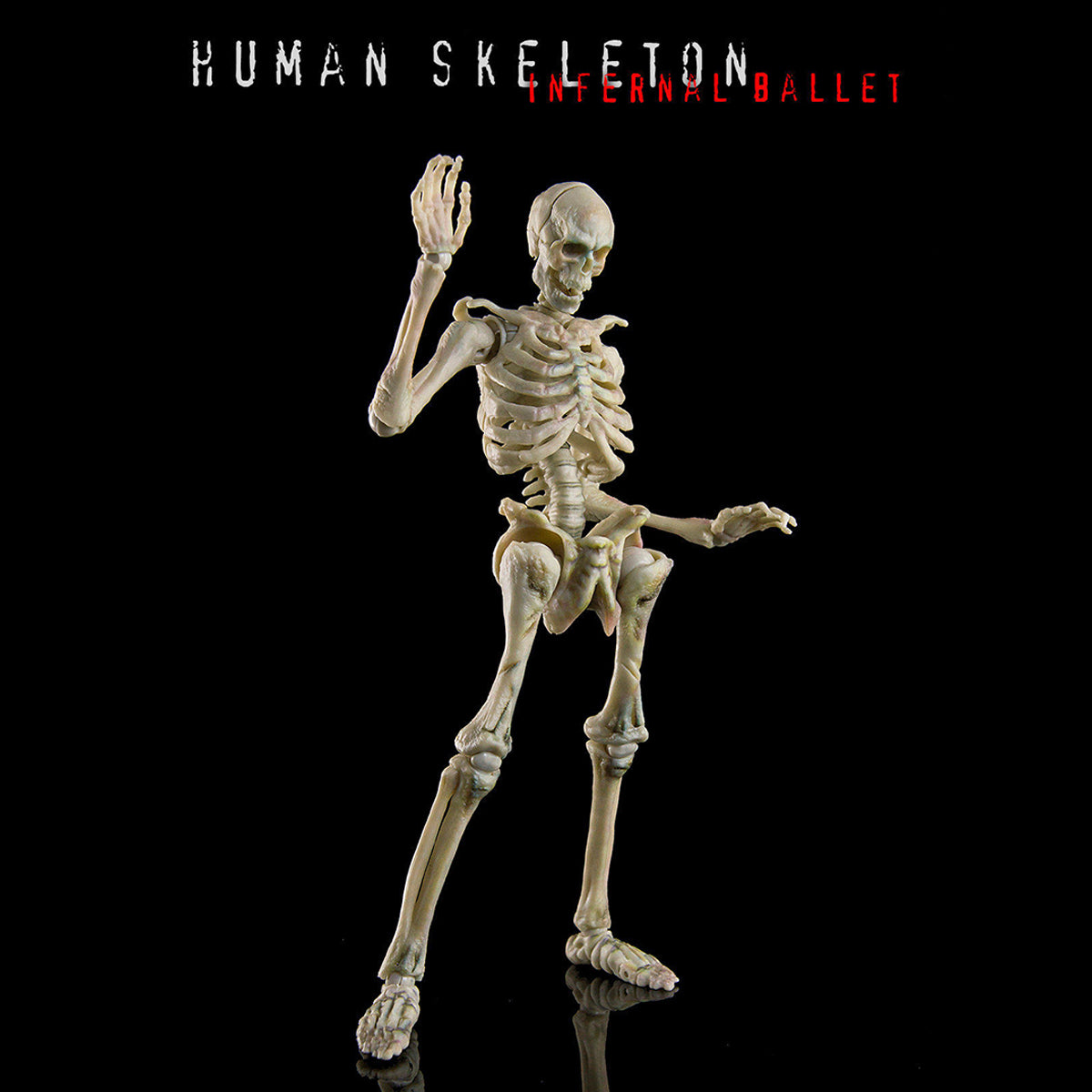 KEEPGOING Biology Classroom Human Skeleton Articulated Model Infernal Ballet 1/12 Scale Action Figure