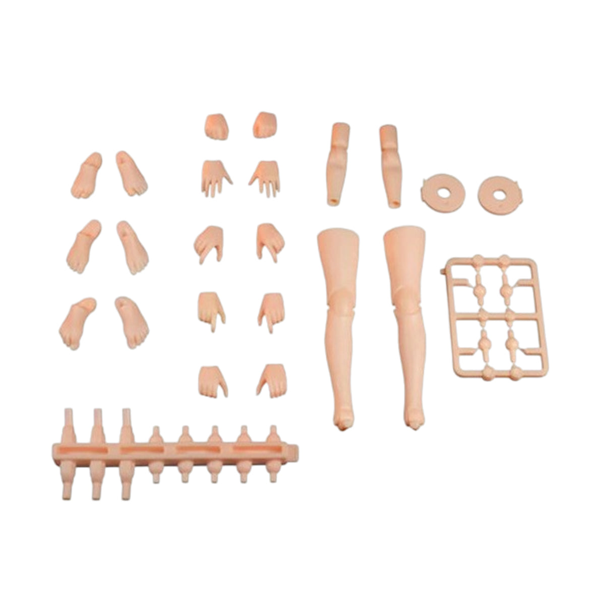 CHENJI CRAFT Female Action Figure Base Body (XL Size) Articulated Joints Action Figure Body & Reconfiguration Expansion Pack