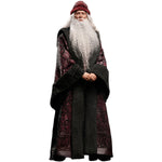 INART Harry Potter and the Chamber of Secrets InArt Albus Dumbledore 1/6 Scale Action Figure Set