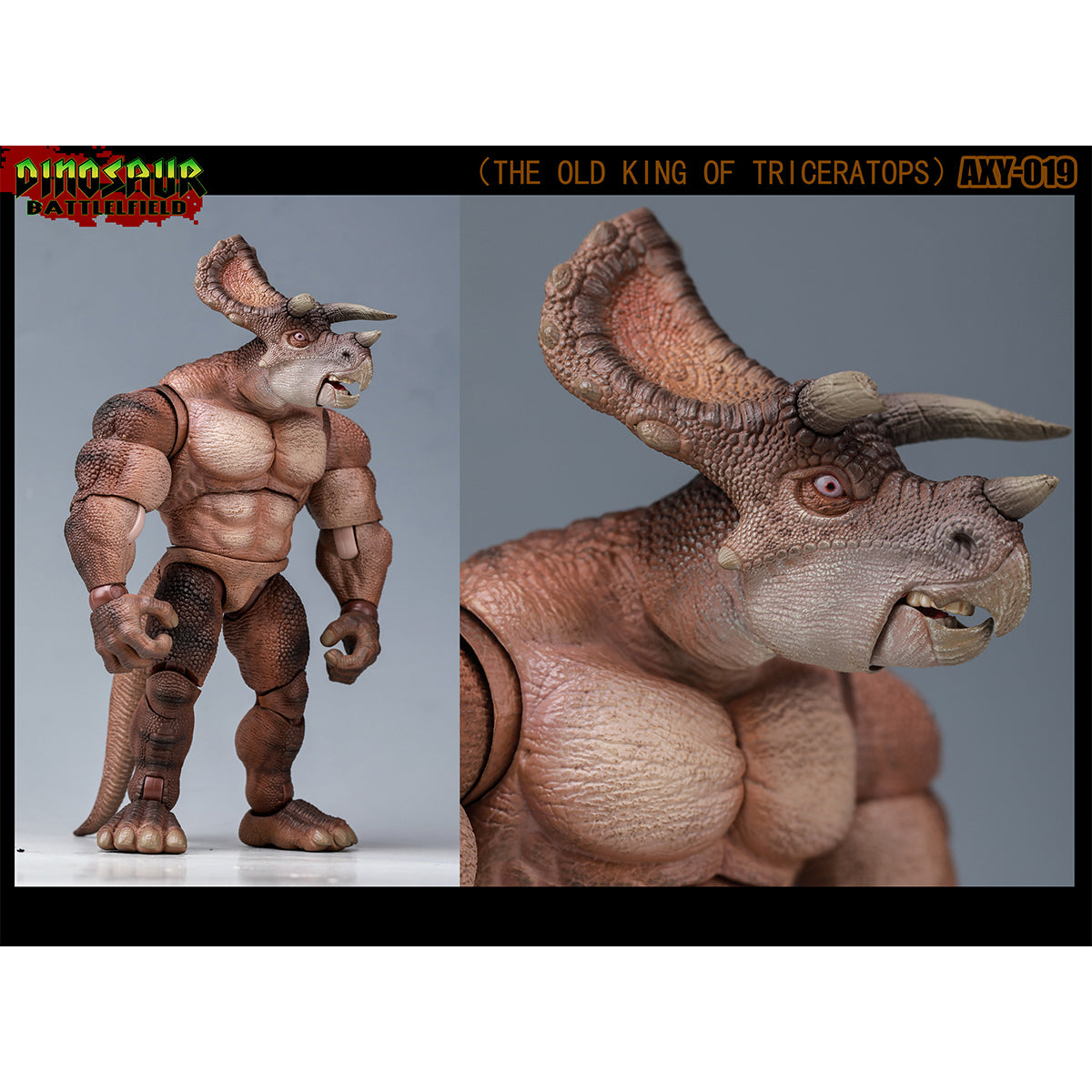 AXYTOYS Dinosaur Battlefield The Old King of Triceratops & The New King of Triceratops 1/12 Scale Action Figure