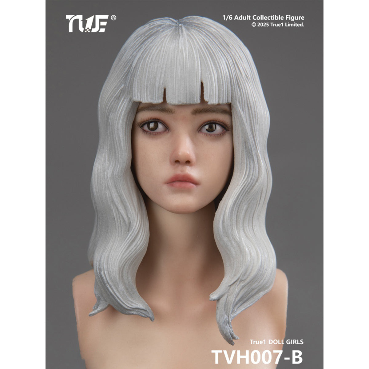 TVH007 Nini Cast Resin Female with Movable Eyes Head Sculpt Long Brown Hair Accessory 1/6 Scale Fit Action Figure