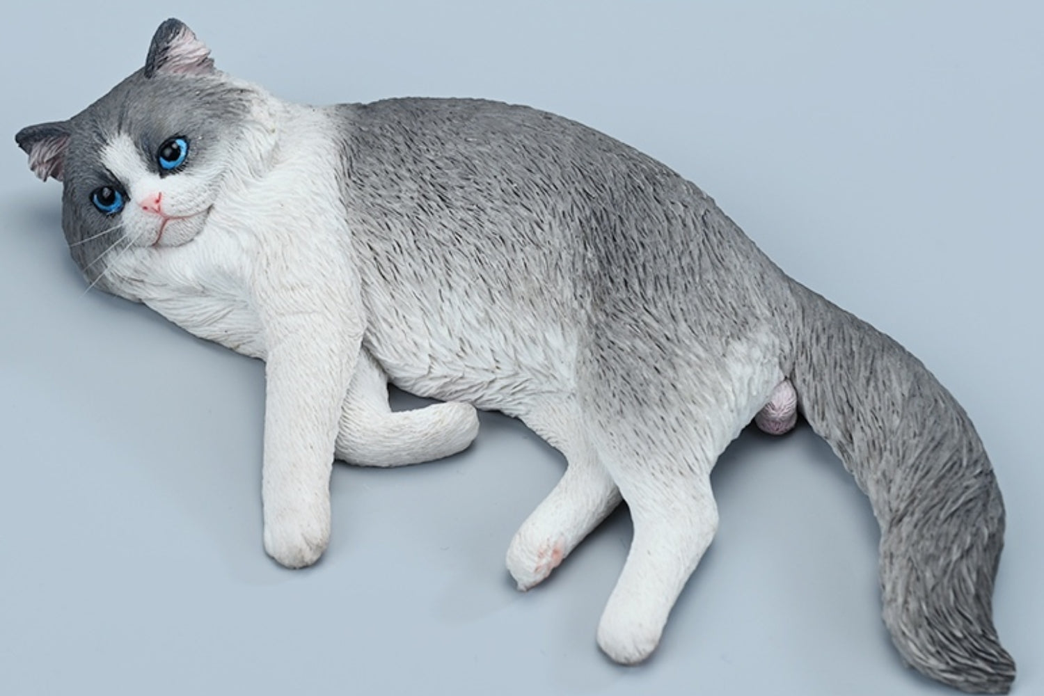 JXK Collectible Cat Figure: Ragdoll 3.0, 1:6 Scale Miniature Animal Fi
