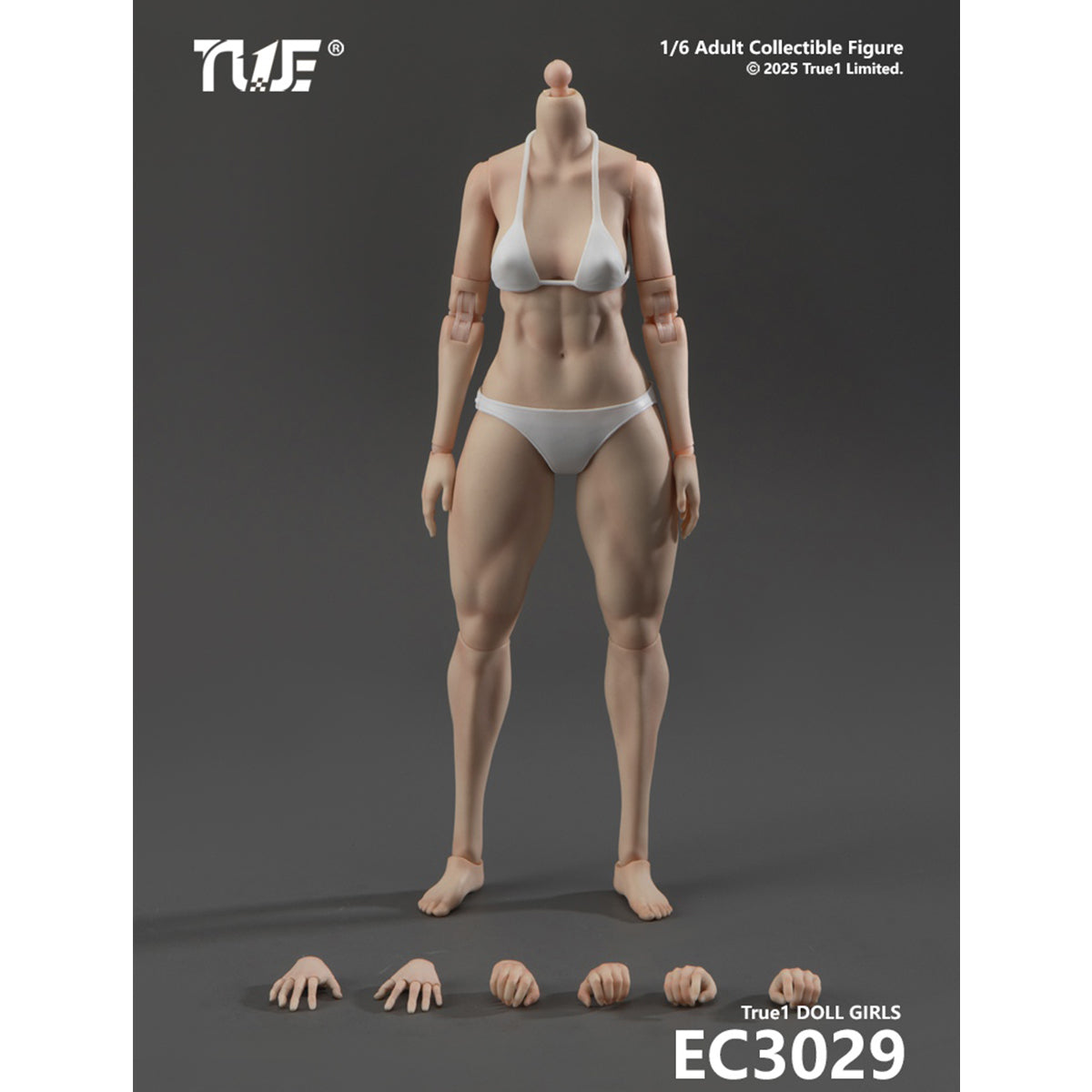 True1Toys Articulated Joints Female Muscular Legs Version EC3029 Medium Bust EC3030 Large Bust 1/6 Scale Action Figure Body