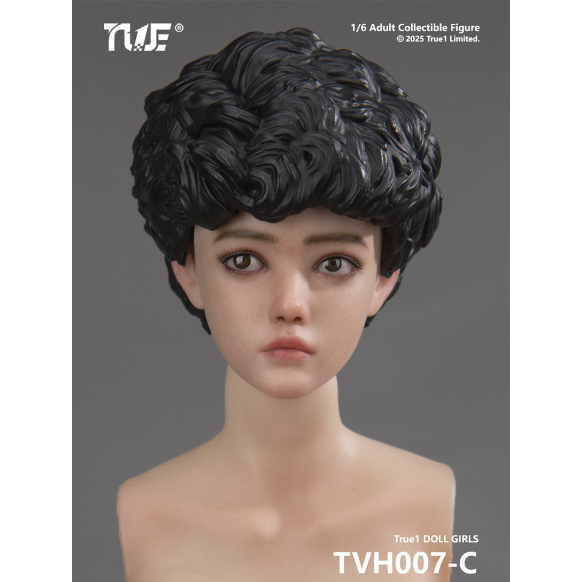 TVH007 Nini Cast Resin Female with Movable Eyes Head Sculpt Long Brown Hair Accessory 1/6 Scale Fit Action Figure