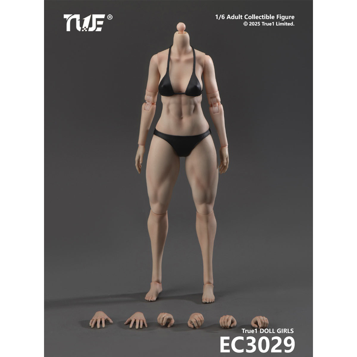 True1Toys Articulated Joints Female Muscular Legs Version EC3029 Medium Bust EC3030 Large Bust 1/6 Scale Action Figure Body