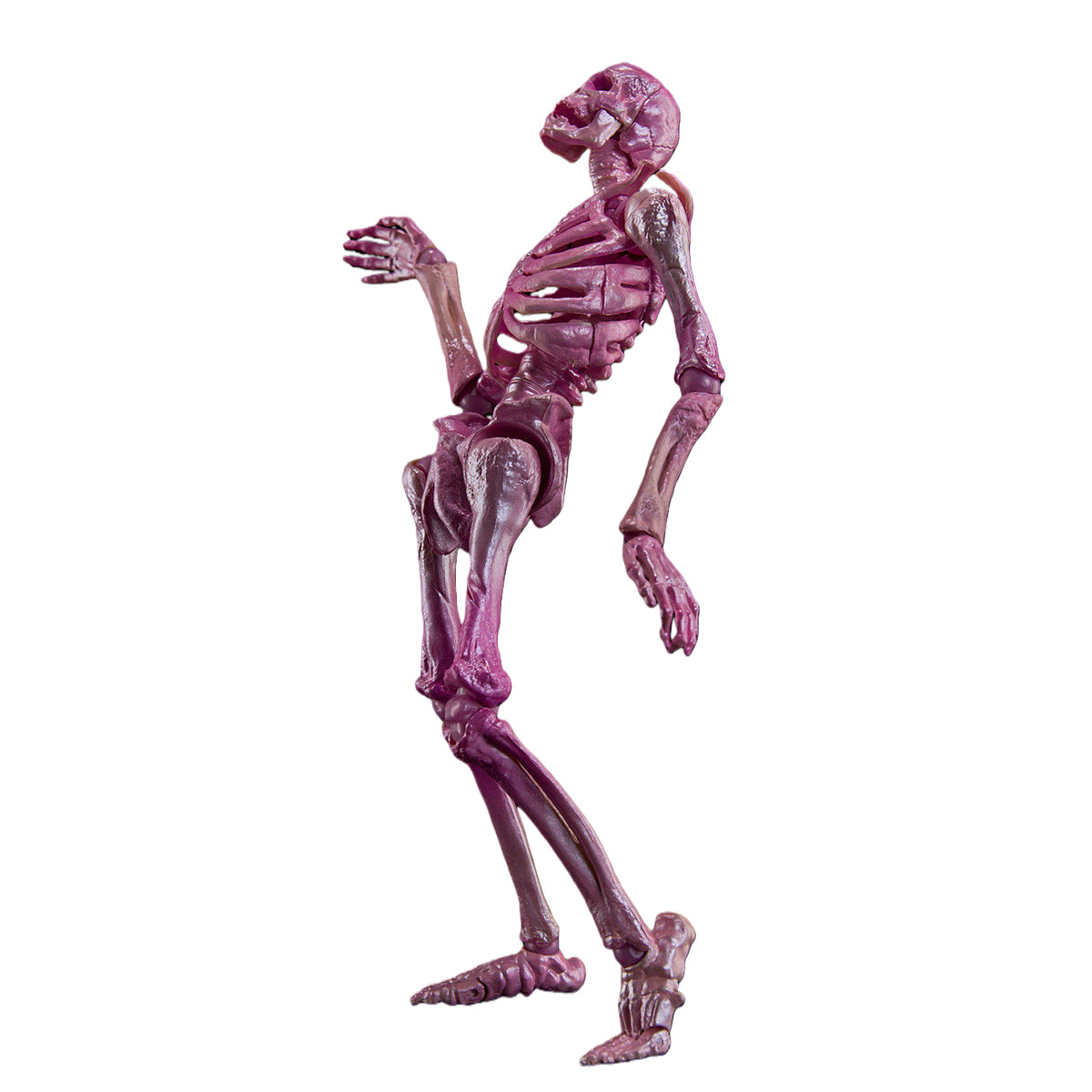 KEEPGOING Biology Classroom Human Skeleton Articulated Model Infernal Ballet 1/12 Scale Action Figure