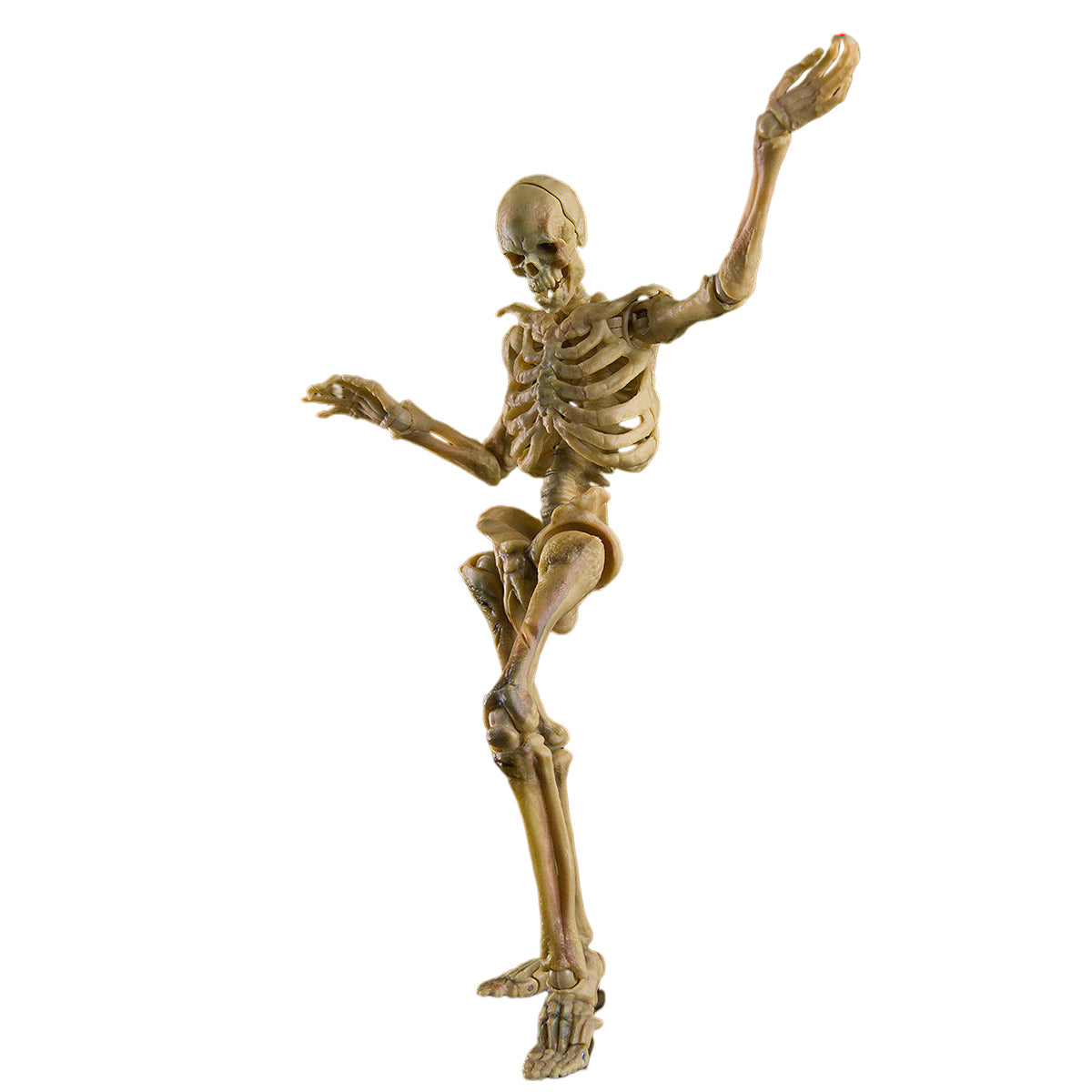 KEEPGOING Biology Classroom Human Skeleton Articulated Model Infernal Ballet 1/12 Scale Action Figure