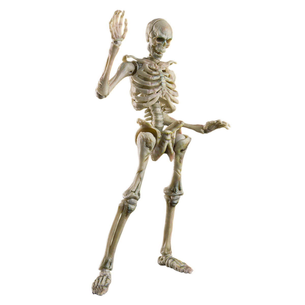 KEEPGOING Biology Classroom Human Skeleton Articulated Model Infernal Ballet 1/12 Scale Action Figure