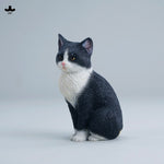 JXK JXK352 Well-behaved Sitting Cat 1/6 Scale Resin Animal Figurine