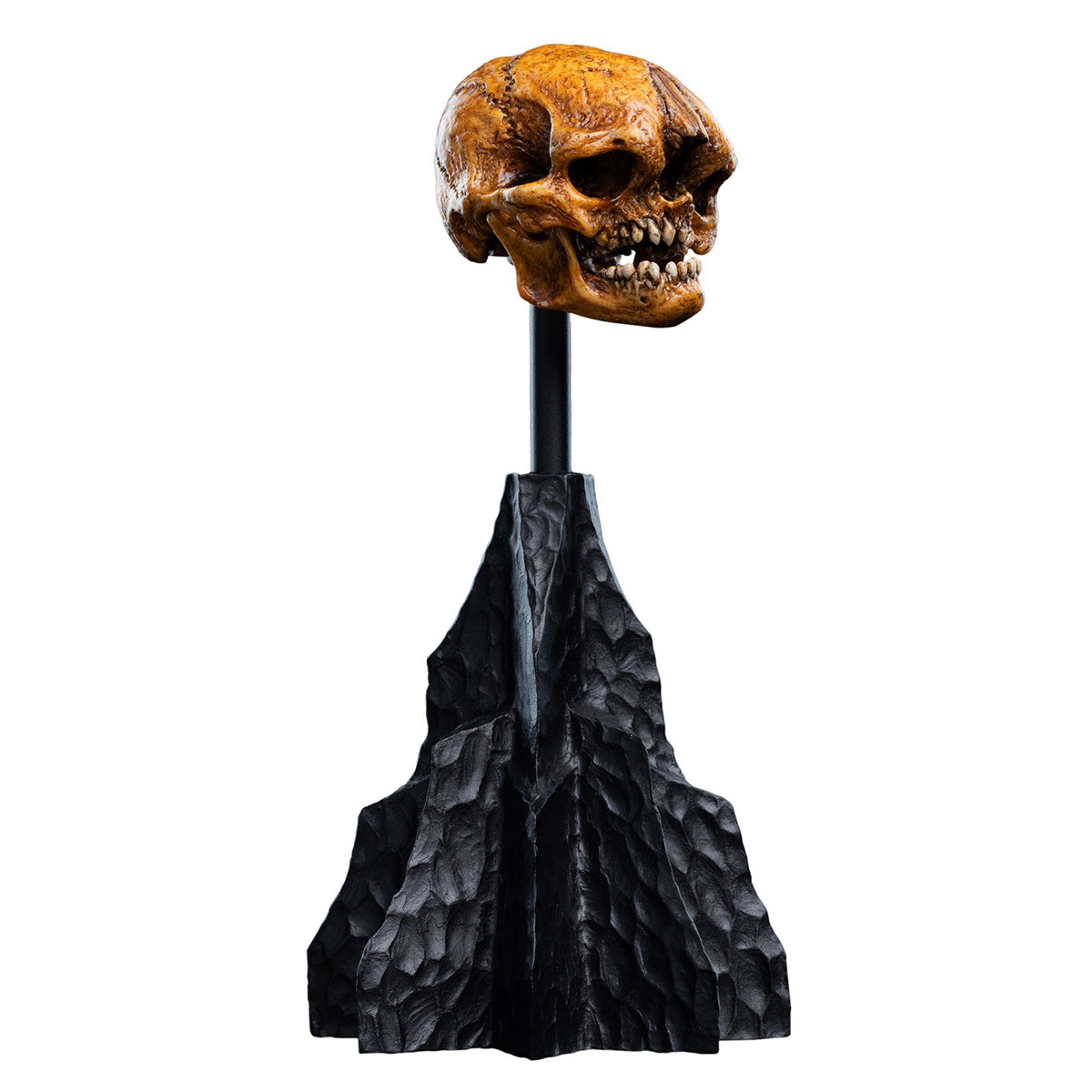WETA Workshop The Hobbit Trilogy Skull Miniature Skull of a Misty Mountain Goblin Art Figurine
