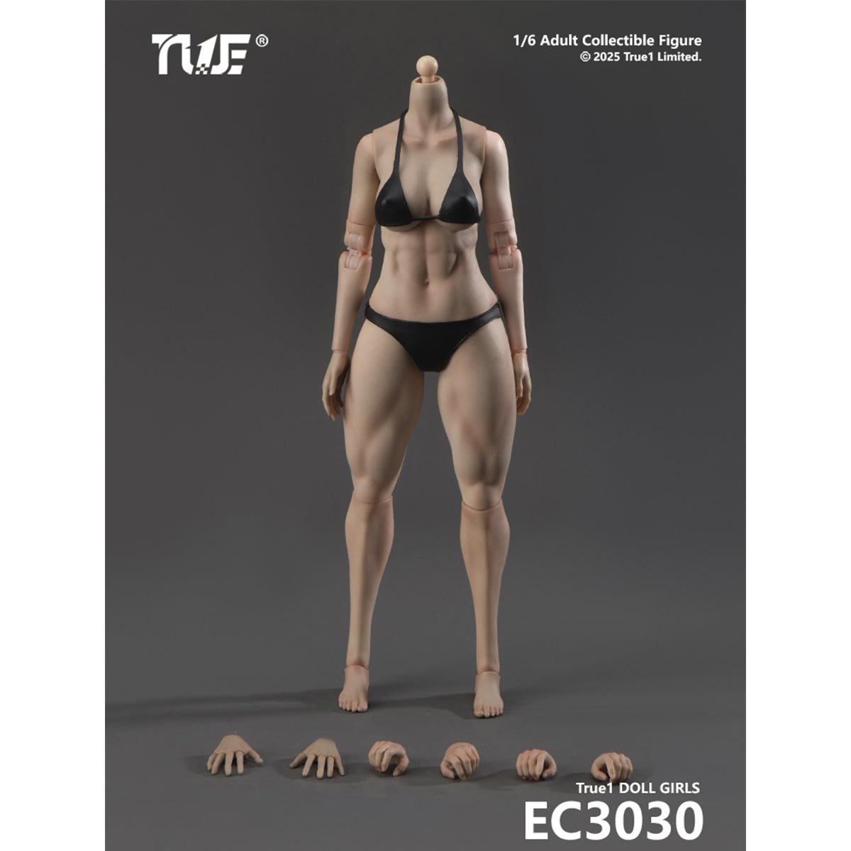 True1Toys Articulated Joints Female Muscular Legs Version EC3029 Medium Bust EC3030 Large Bust 1/6 Scale Action Figure Body