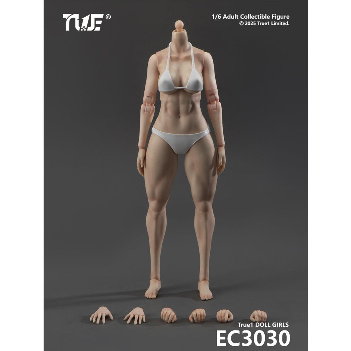 True1Toys Articulated Joints Female Muscular Legs Version EC3029 Medium Bust EC3030 Large Bust 1/6 Scale Action Figure Body