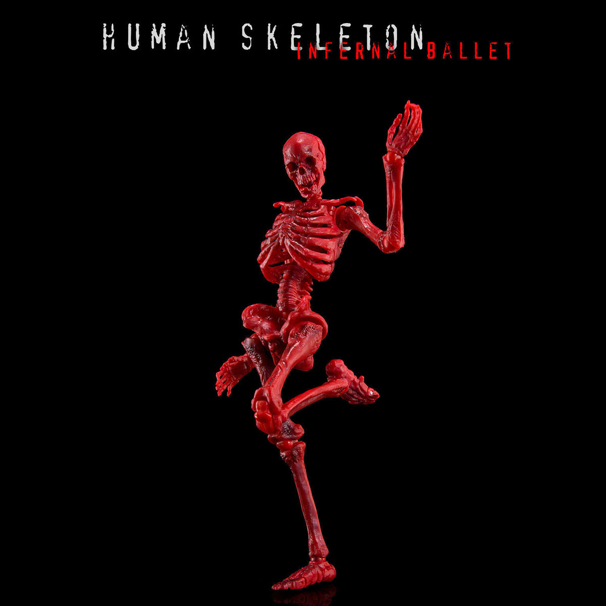 KEEPGOING Biology Classroom Human Skeleton Articulated Model Infernal Ballet 1/12 Scale Action Figure