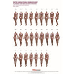 TBLeague Female Seamless Tall and Slender Type Large Bust 1/6 Scale Action Figure Body