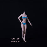 TBLeague Female Seamless Asian Type Medium Bust Headless Detachable Feet 1/6 Scale Action Figure Body
