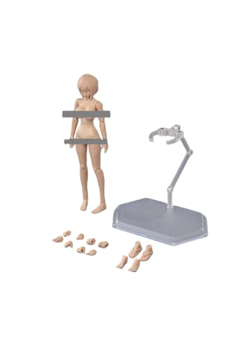 HiPlay  Female Half-Seamless Action Figure Body