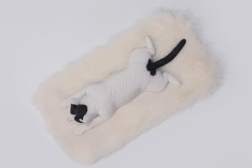 HiPlay JXK Collectible Cat Figure: Lethargic Cat 7.0, Expertly Hand-Painted, Lifelike, Safe Resin, 1:6 Scale Miniature Animal Figurine