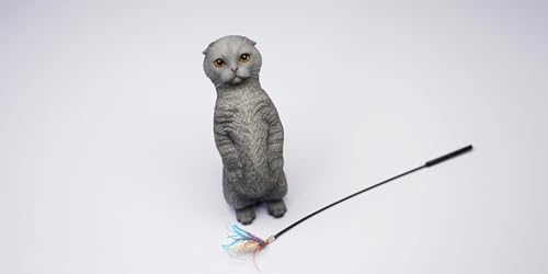 HiPlay JXK Collectible Cat Figure: Scottish Fold, Expertly Hand-Painted, Lifelike, Safe Resin, 1:6 Scale Miniature Animal Figurine