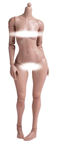 HiPlay WorldBox 1:6 Scale Female Action Figure Body - Plump Body Shape, Fair Skin