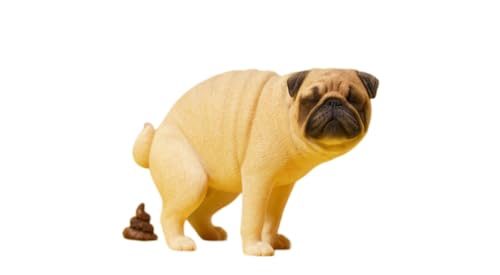 Issugi pug DOGEAR CRAWL 仙人掌  ERA jjj io image.jpg