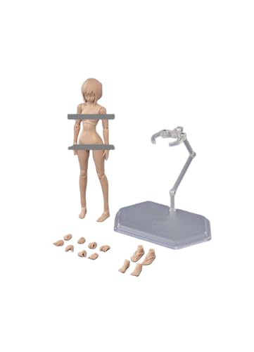 HiPlay  Female Half-Seamless Action Figure Body