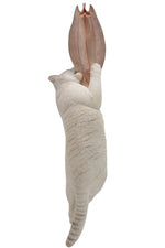 JXK Collectible Cat Figure: Cats That eat Fish 2.0, Expertly Hand-Painted, Lifelike, Safe Resin, 1:6 Scale Miniature Animal Figurine
