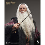 INART Harry Potter and the Chamber of Secrets InArt Albus Dumbledore 1/6 Scale Action Figure Set