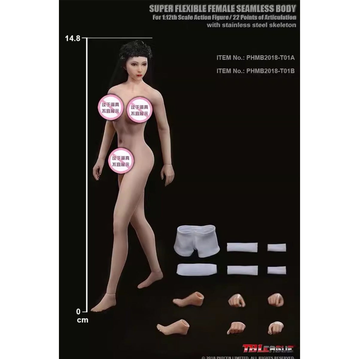 TBLeague, Seamless Steel Skeleton Female Eropean & Proportions/Anime/Asian Body Type with Head Sculpt, Action Figures Body