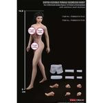 TBLeague, Seamless Steel Skeleton Female Eropean & Proportions/Anime/Asian Body Type with Head Sculpt, Action Figures Body